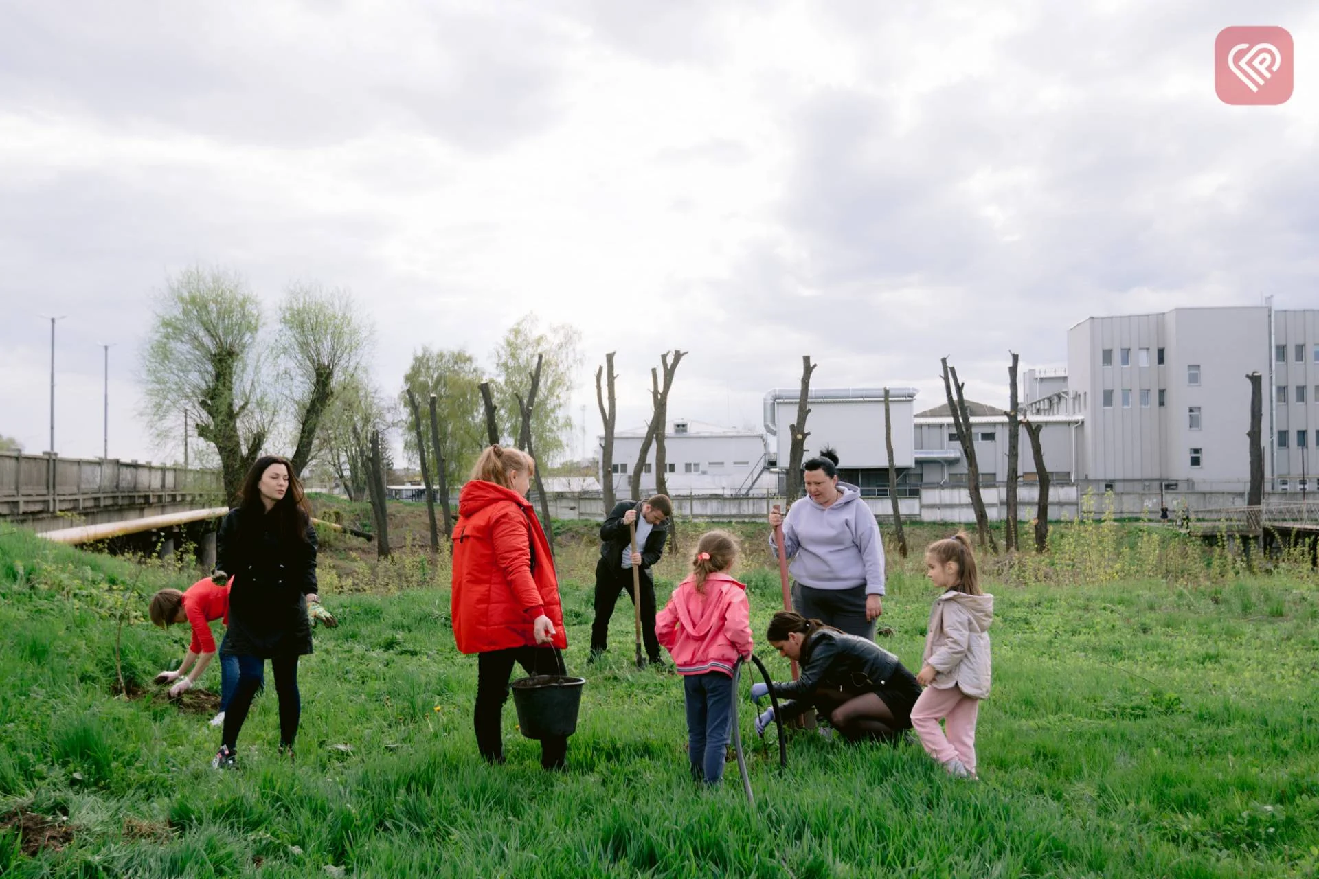 депутати та працівники Переяславської міської ради висадили березовий парк