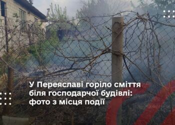 У Переяславі горіло сміття біля господарчої будівлі: фото з місця події