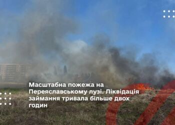 Масштабна пожежа на Переяславському лузі. Ліквідація займання тривала більше двох годин