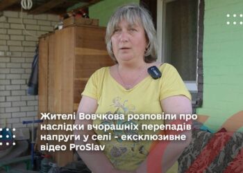 у селі Вовчків Переяславської громади стався сильний стрибок напруги. Відтак у місцевих мешканців «згоріли»
