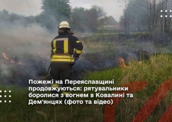 Пожежі на Переяславщині продовжуються: рятувальники боролися з вогнем в Ковалині та Дем'янцях (фото та відео)