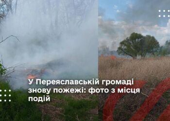 У Переяславській громаді знову пожежі: фото з місця подій