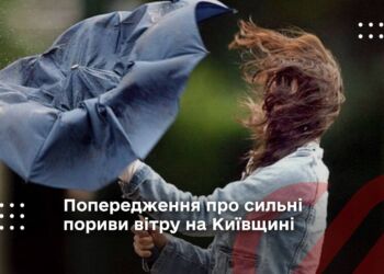 Попередження про сильні пориви вітру на Київщині