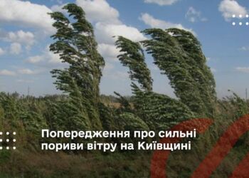 Попередження про сильні пориви вітру на Київщині