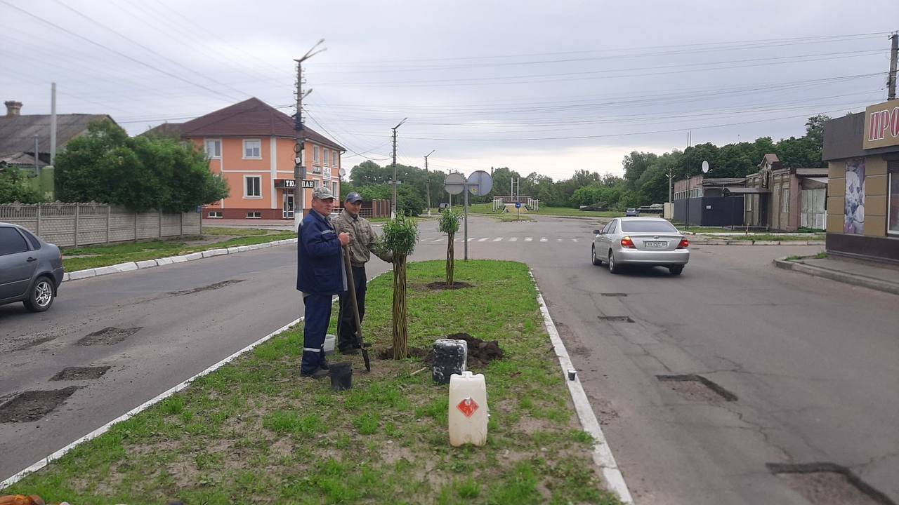 Переяслав прикрасять декоративні дерева - де та які?