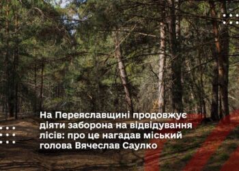 На Переяславщині продовжує діяти заборона на відвідування лісів: про це нагадав міський голова Вячеслав Саулко