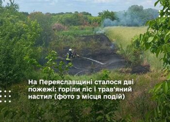 На Переяславщині сталося дві пожежі: горіли ліс і трав’яний настил (фото з місця подій)