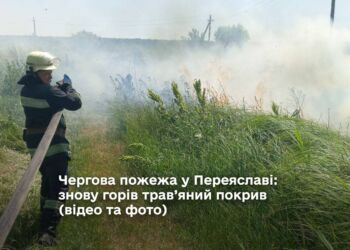 Чергова пожежа у Переяславі: знову горів трав’яний покрив по вулиці Літописна