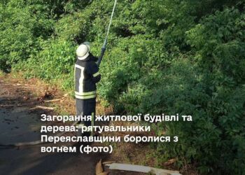 Загорання житлової будівлі та дерева: рятувальники Переяславщини боролися з вогнем (фото)
