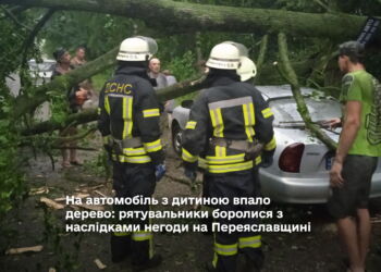 На автомобіль з дитиною впало дерево: рятувальники боролися з наслідками негоди на Переяславщині