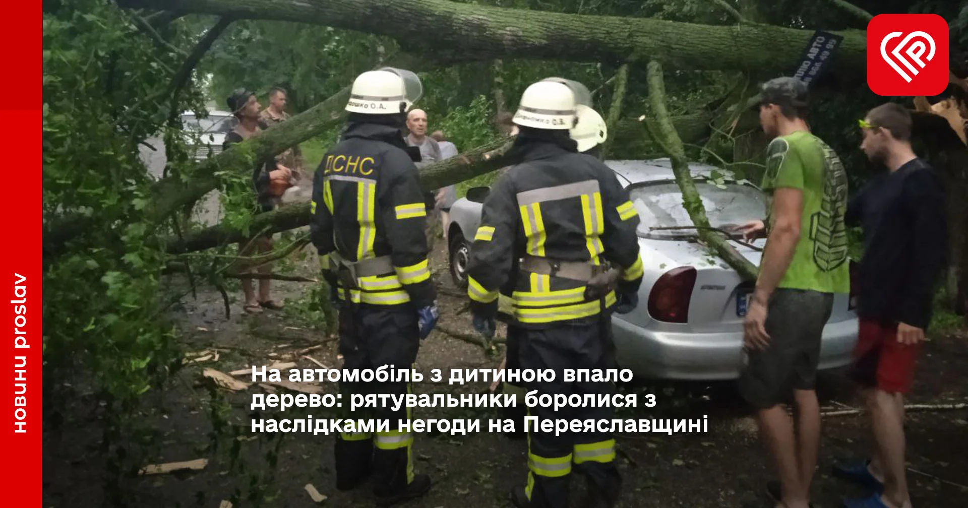 На автомобіль з дитиною впало дерево: рятувальники боролися з наслідками негоди на Переяславщині