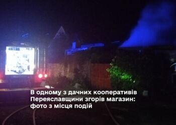 В одному з дачних кооперативів Переяславщини згорів магазин: фото з місця подій