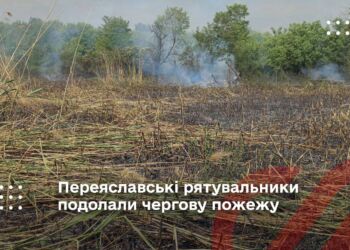Переяславські рятувальники подолали чергову пожежу