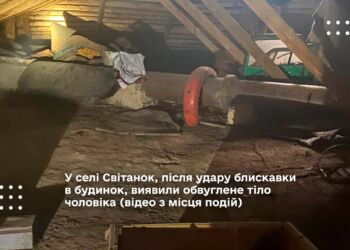 У селі Світанок, після удару блискавки в будинок, виявили обвуглене тіло чоловіка (відео з місця подій)