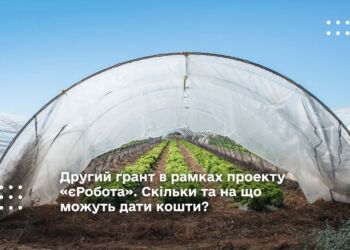 Другий грант в рамках проекту «єРобота». Скільки та на що можуть дати кошти?
