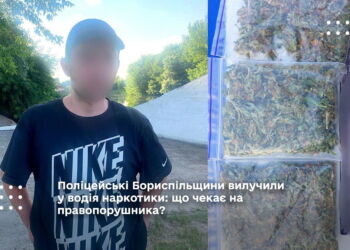 Поліцейські Бориспільщини вилучили у водія наркотики: що чекає на правопорушника?