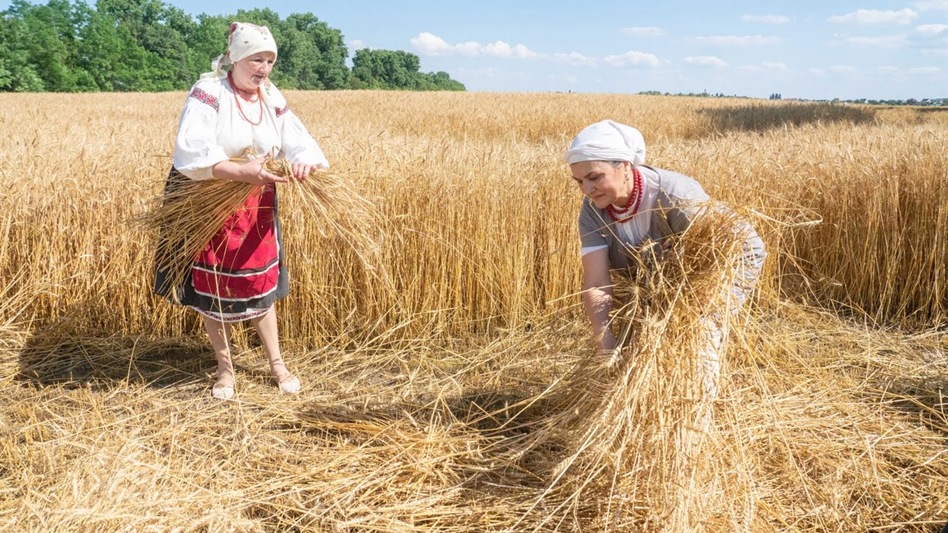 «Зажинки» та День сім’ї у Переяславі