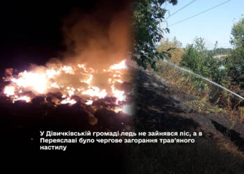 У Дівичківській громаді ледь не зайнявся ліс, а в Переяславі було чергове загорання трав’яного настилу