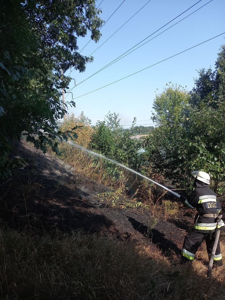 У Дівичківській громаді ледь не зайнявся ліс, а в Переяславі було чергове загорання трав’яного настилу
