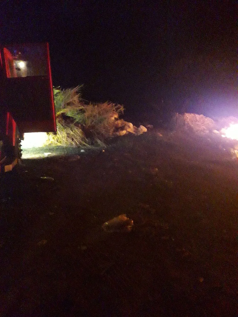 У Дівичківській громаді ледь не зайнявся ліс, а в Переяславі було чергове загорання трав’яного настилу