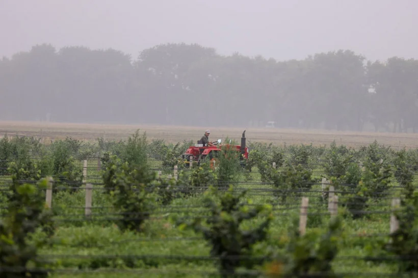 Прем’єр-міністр Денис Шмигаль та голова КОВА Олексій Кулеба відвідали фермерське господарство на Переяславщині