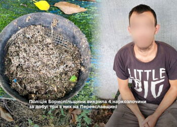 Поліція Бориспільщини викрила 4 наркозлочини за добу: три з них на Переяславщині