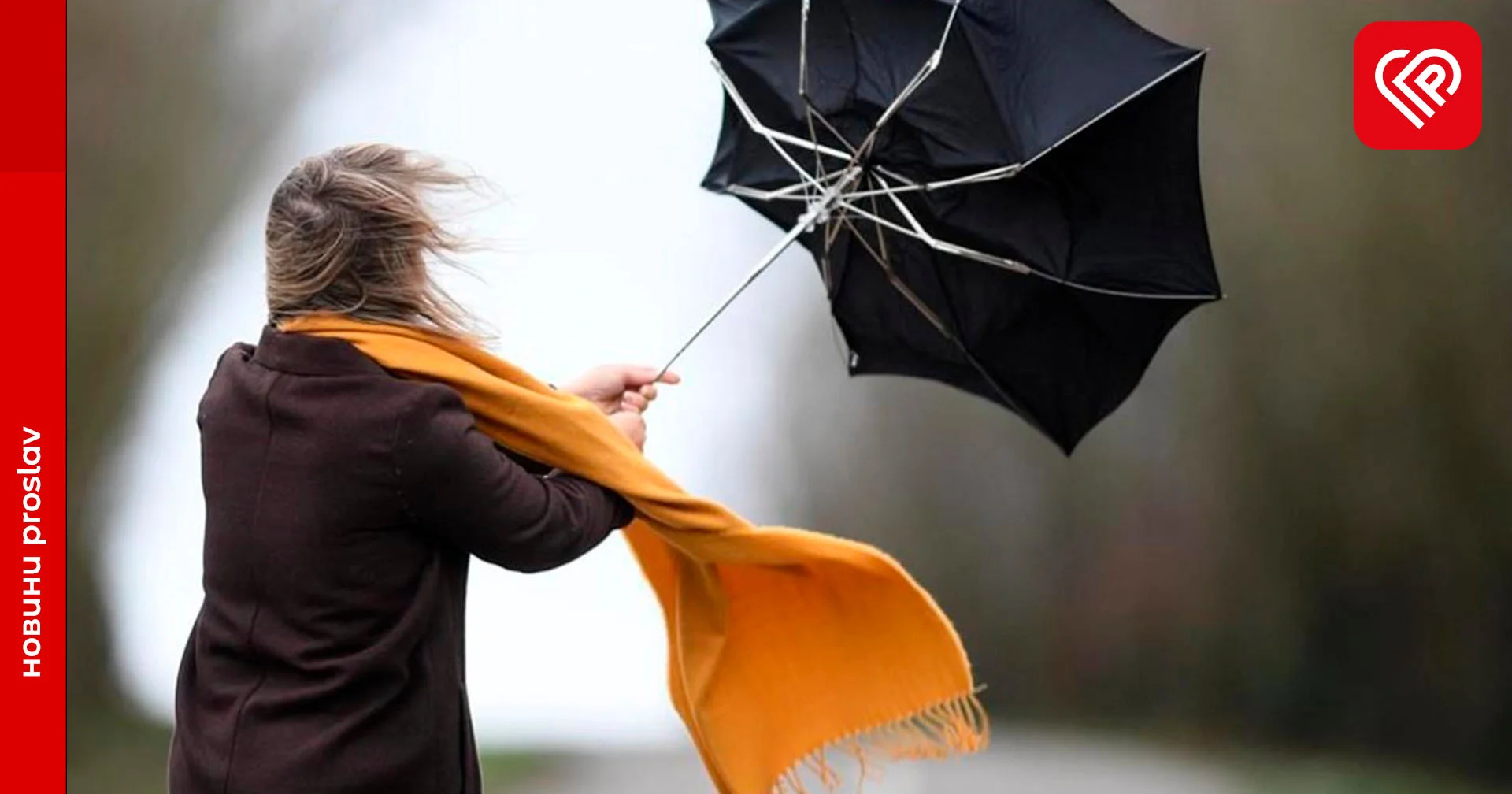 Завтра на Київщині значні пориви вітру до 20 м/с — УкрГМЦ