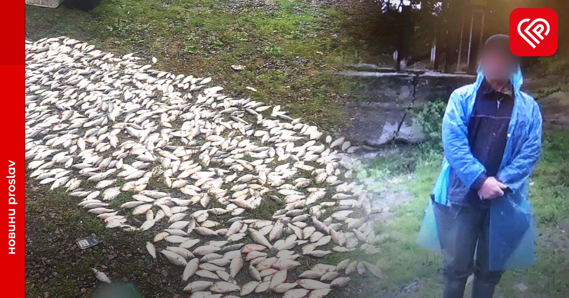 На Київщині викрили браконьєра, який вловив риби на понад мільйон гривень