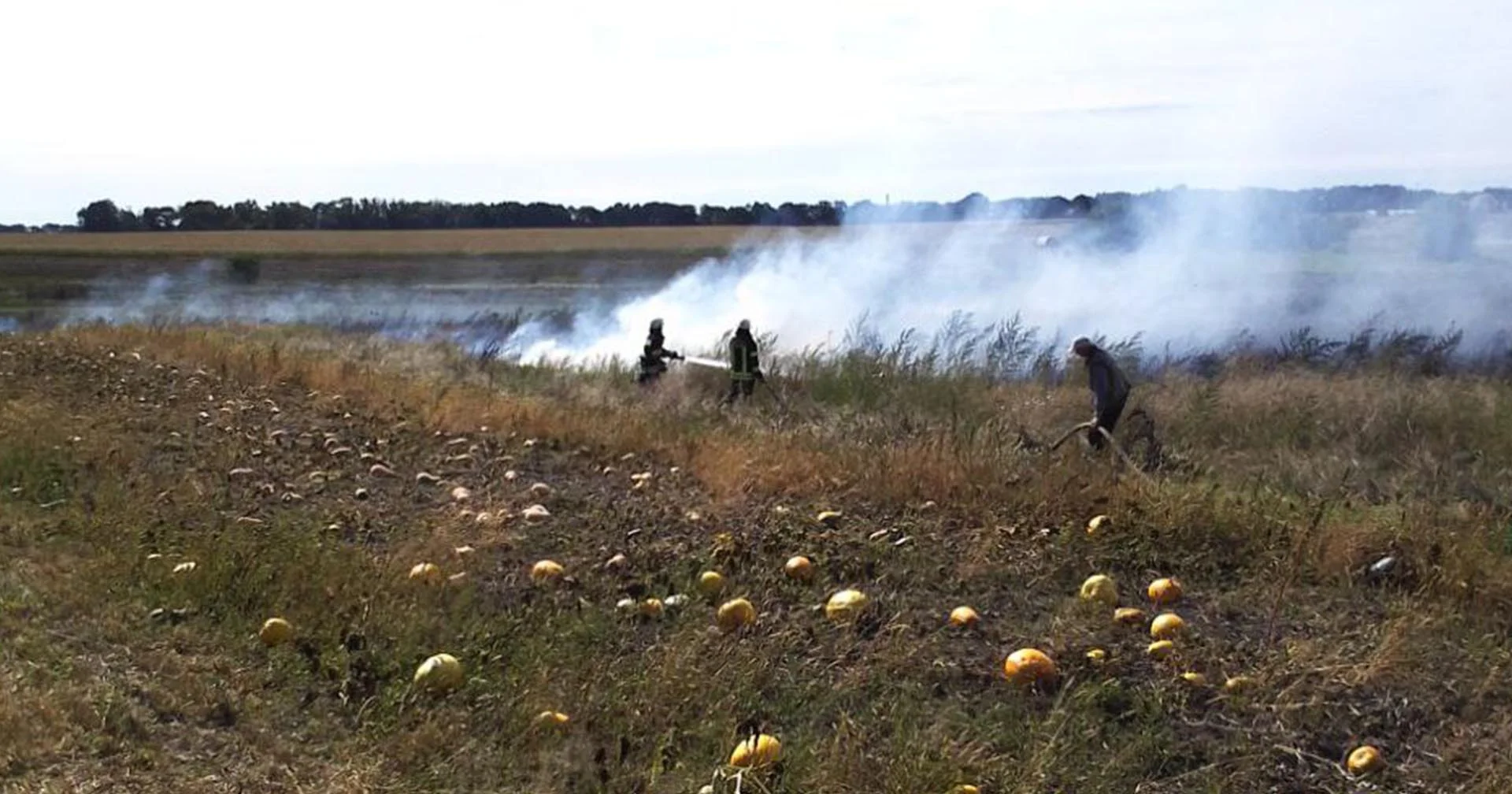 айнявся трав’яний настил у селі Чирське