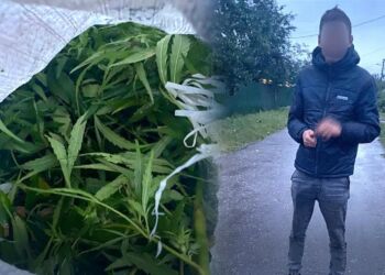 У Переяславі поліція затримала зберігача наркотиків