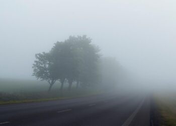 Київщину накриє туман: попередження УкрГМЦ