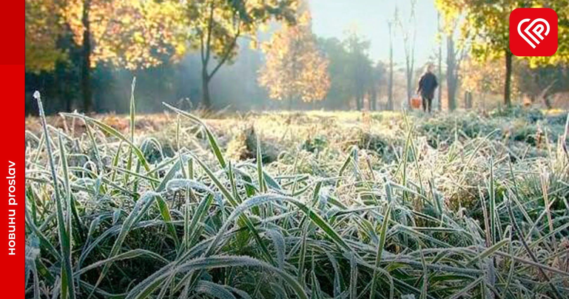 На Київщині 23-24 вересня можливі заморозки на поверхні грунту – УкрГМЦ