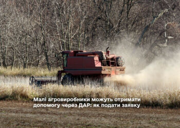 Малі агровиробники можуть отримати допомогу через ДАР: як подати заявку