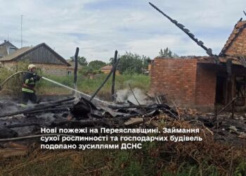 Нові пожежі на Переяславщині. Займання сухої рослинності та господарчих будівель подолано зусиллями ДСНС (фото та відео)