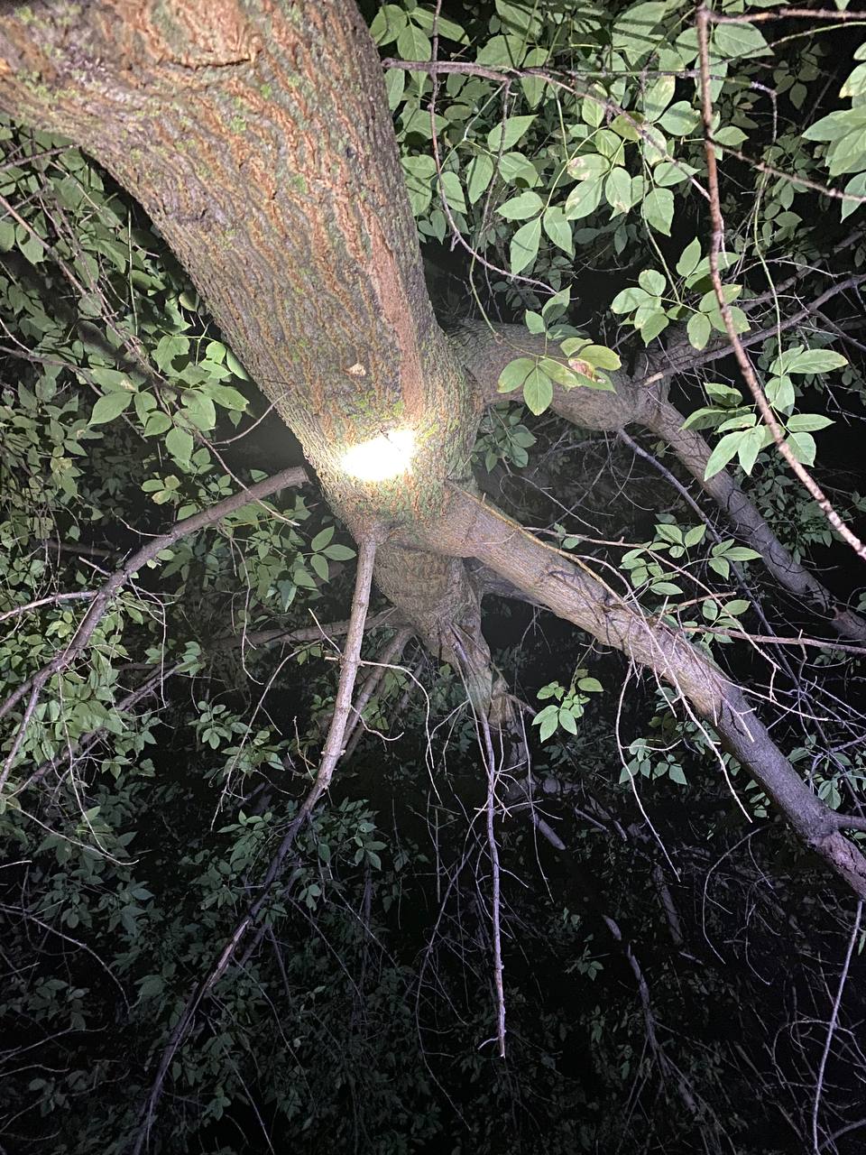 У Переяславі стався вибух: на місці події знайшли кільце від гранати