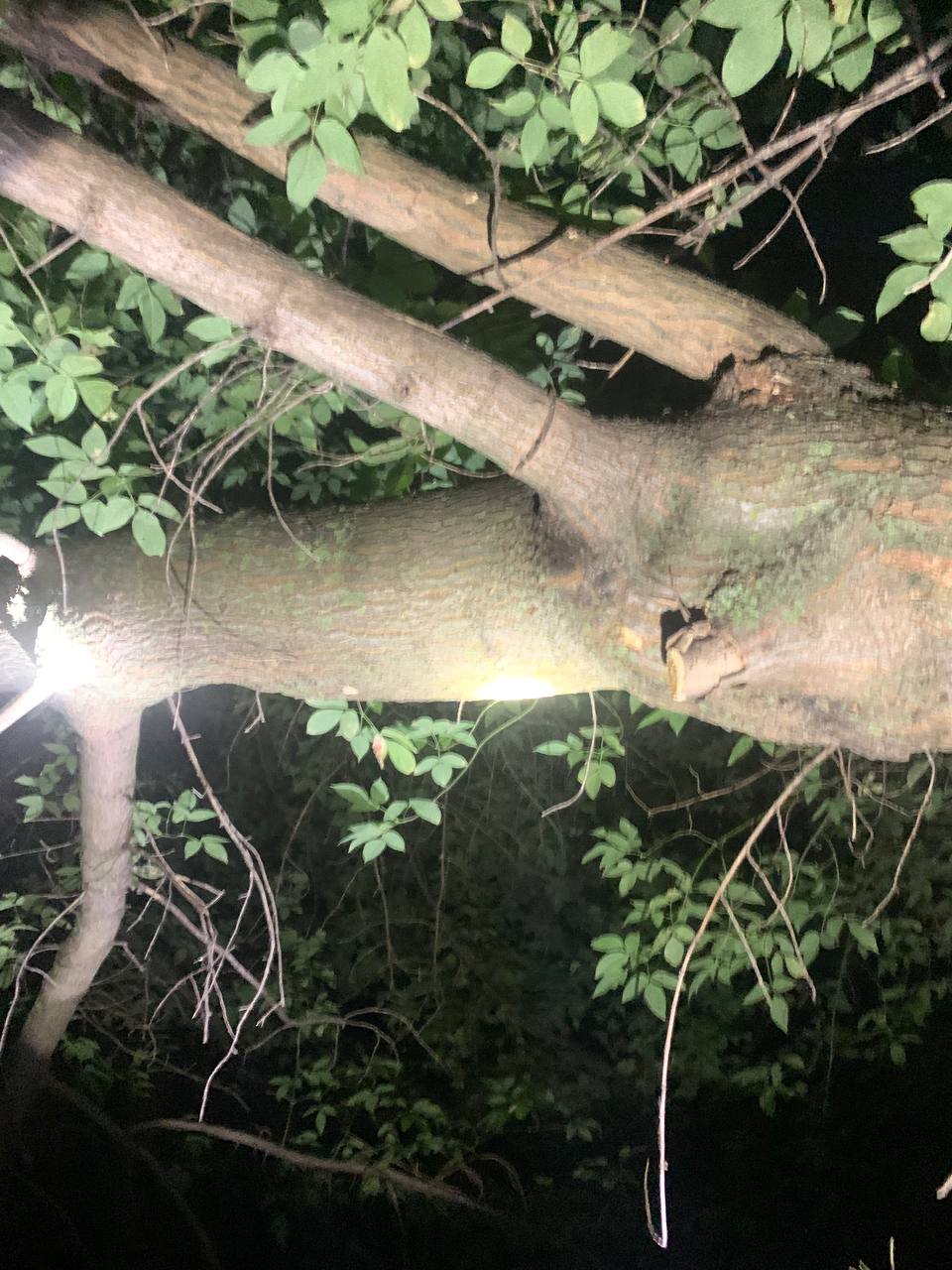 У Переяславі стався вибух: на місці події знайшли кільце від гранати