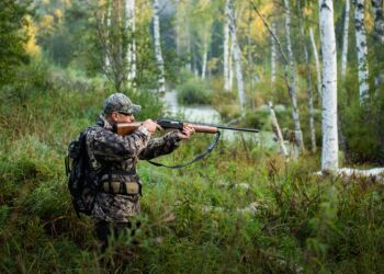 У Київській області заборонили полювання на період дії воєнного стану: ділимося деталями