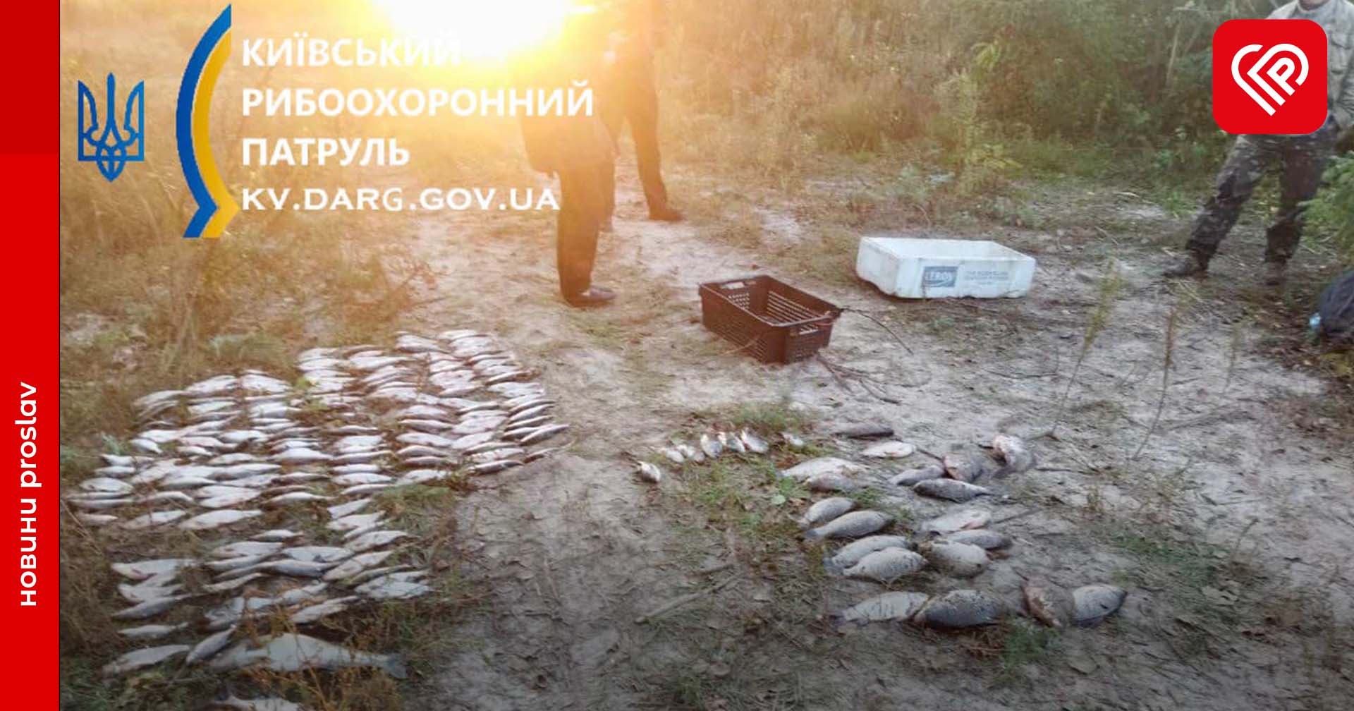 Біля Переяслава виявлено браконьєра