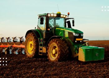 На Київщині завершуються жнива: якими є успіхи аграріїв в умовах війни