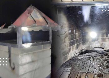 Пожежа у Переяславі: загорілася сажа у димоході каміна (фото та відео)