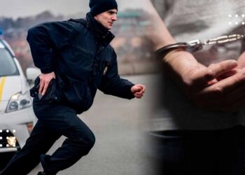 Під час відключень електроенергії рівень злочинності знизився – Нєбитов