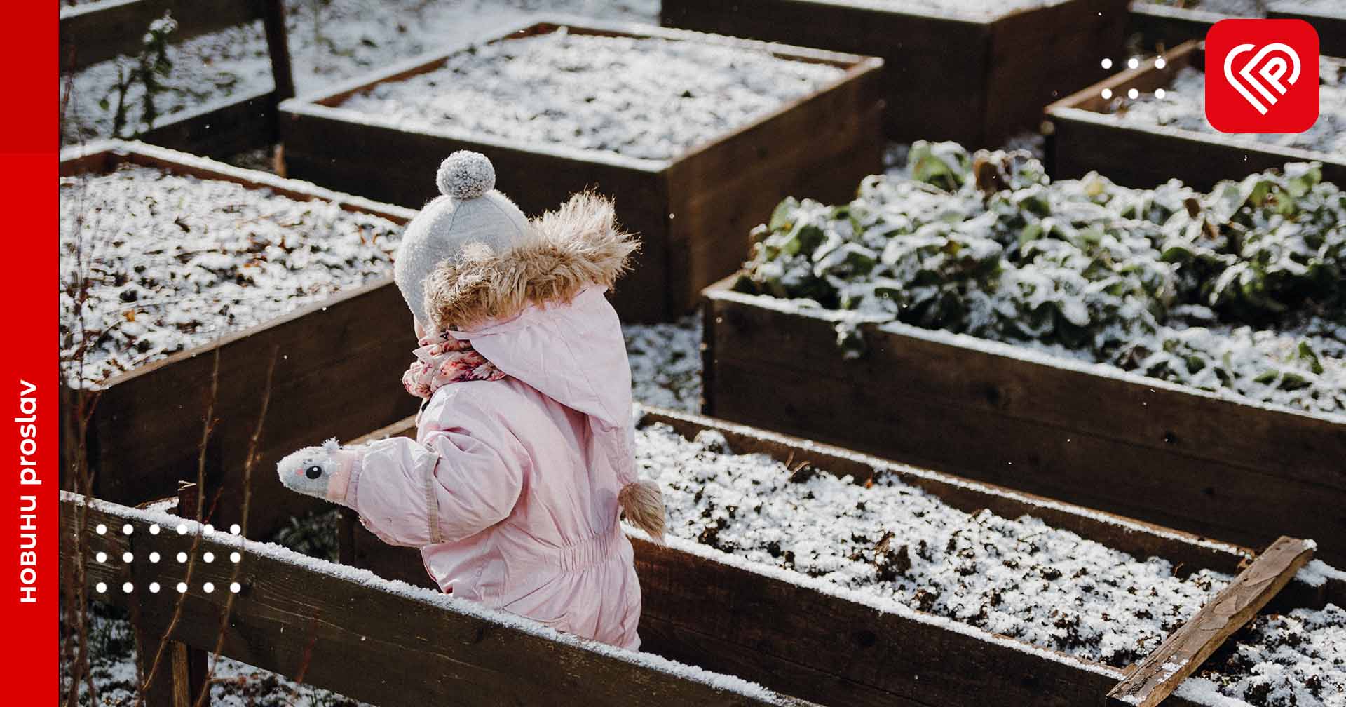 Сніг на Київщині