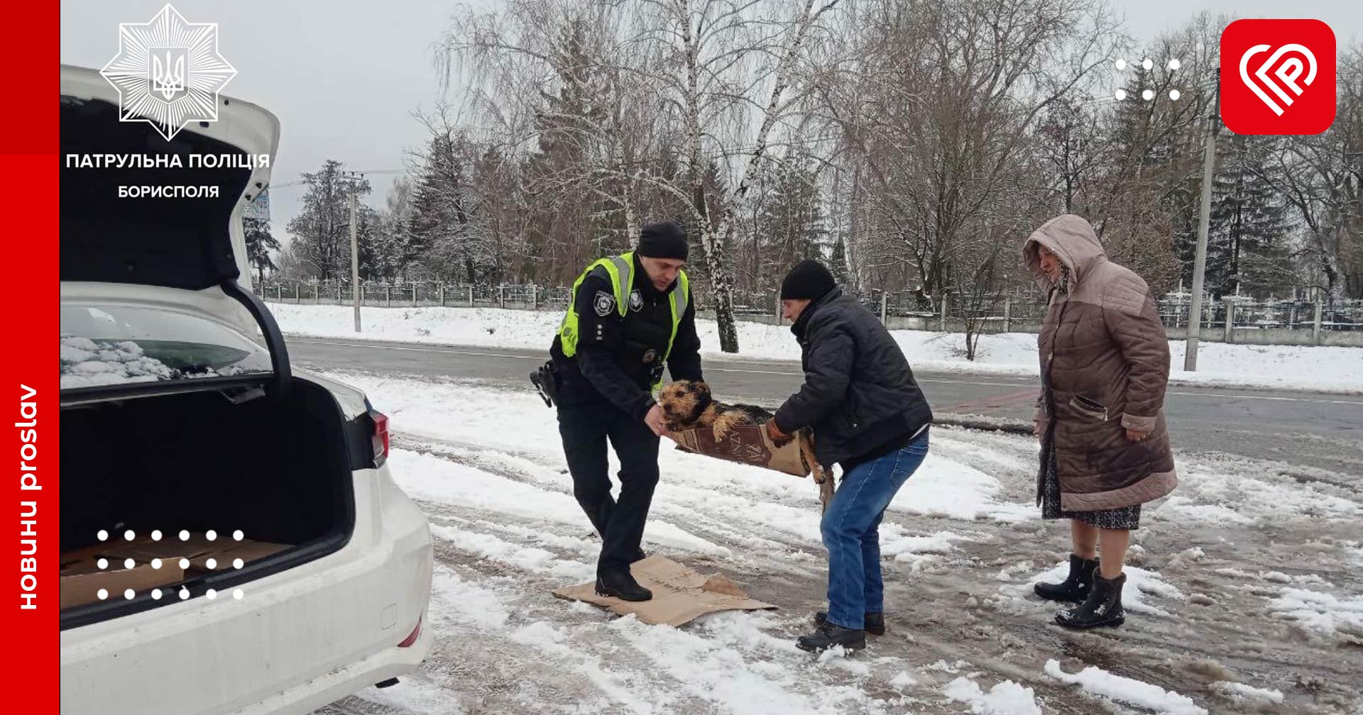 Патрульні Борисполя врятували песика, якого збило авто