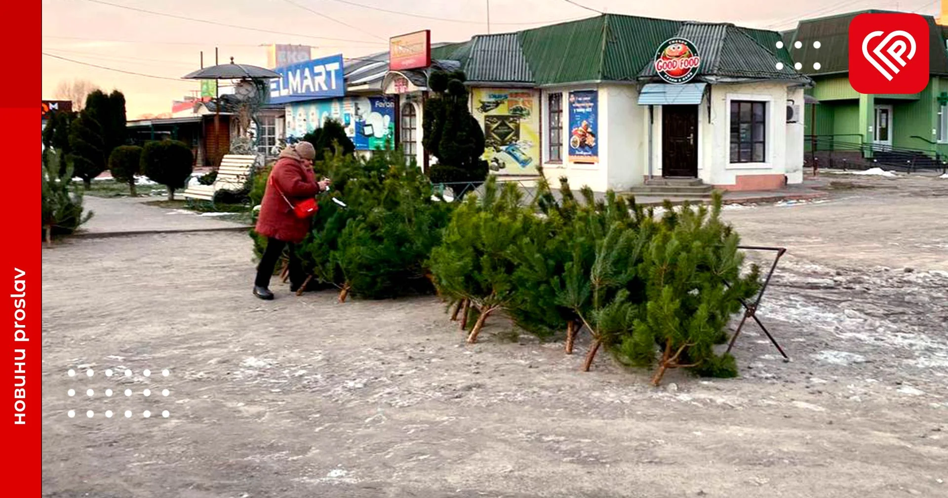 Стало відомо, де підприємці продаватимуть ялинки на території Переяславської громади та у скільки обійдеться її придбання
