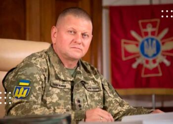 Українці просять президента присвоїти Залужному звання Героя України – збір підписів триватиме ще 87 днів
