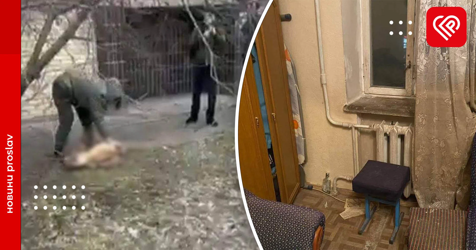 У Борисполі чоловік викинув собаку через вікно багатоповерхівки: на жаль чотирилапий не вижив