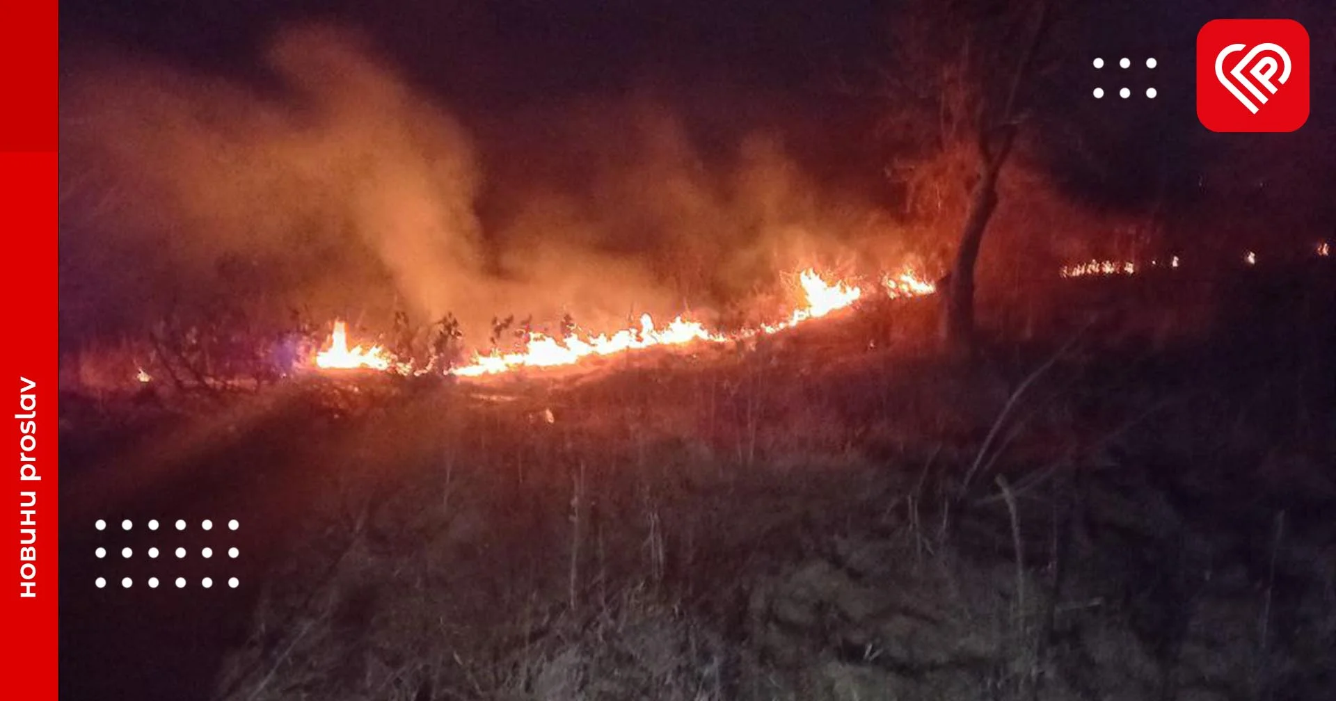 На Переяславщині горів трав’яний настил (фото)