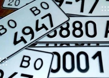 Влітку на водіїв чекає приємне нововведення: власники авто зможуть онлайн замовляти номерні знаки