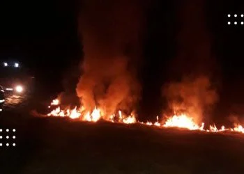 Пожежники ліквідували загорання сухої трави на Переяславщині: фото та відео з місця події