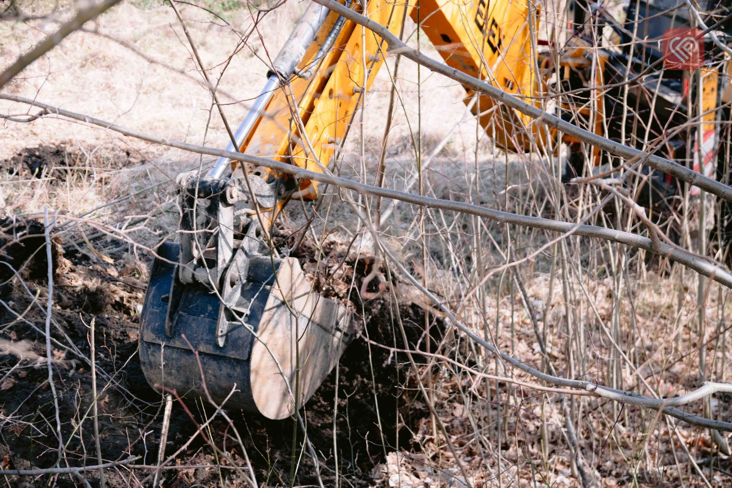 Благоустрій у громаді: встановлення зупинки та прибирання на вулицях Переяслава